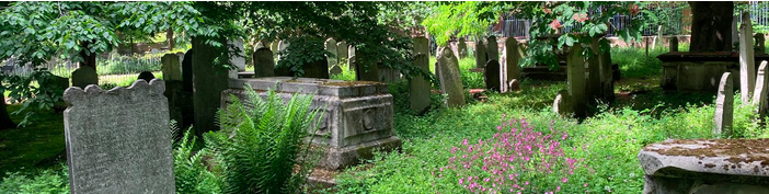 Graveyard image